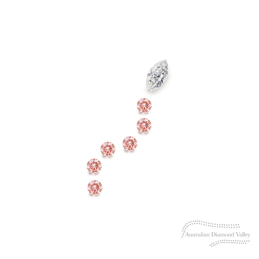 LNY 2025 Year of the Baby Snake .08ct Authentic Australian Pink Champagne Argyle Origin Diamonds - PC2