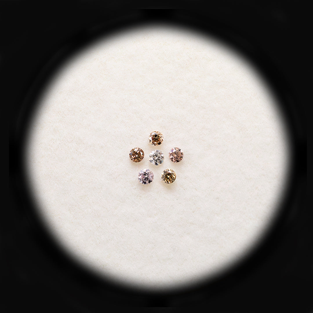 Diamond Valley Daisy 0.06ct Authentic Argyle Australian Rainbow Diamonds - Set #1