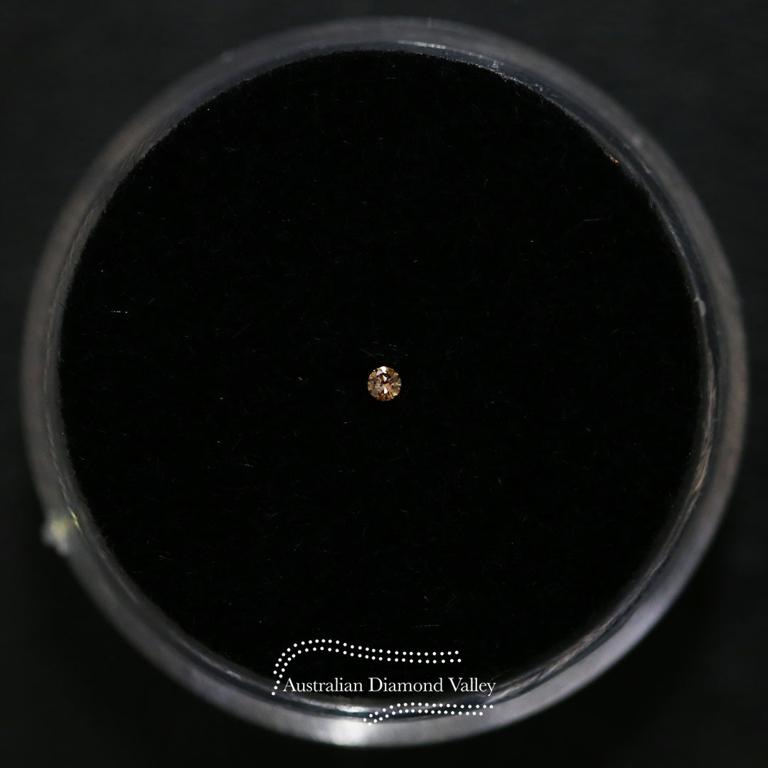0.01ct Authentic Australian Cognac Argyle Origin Diamond - C7