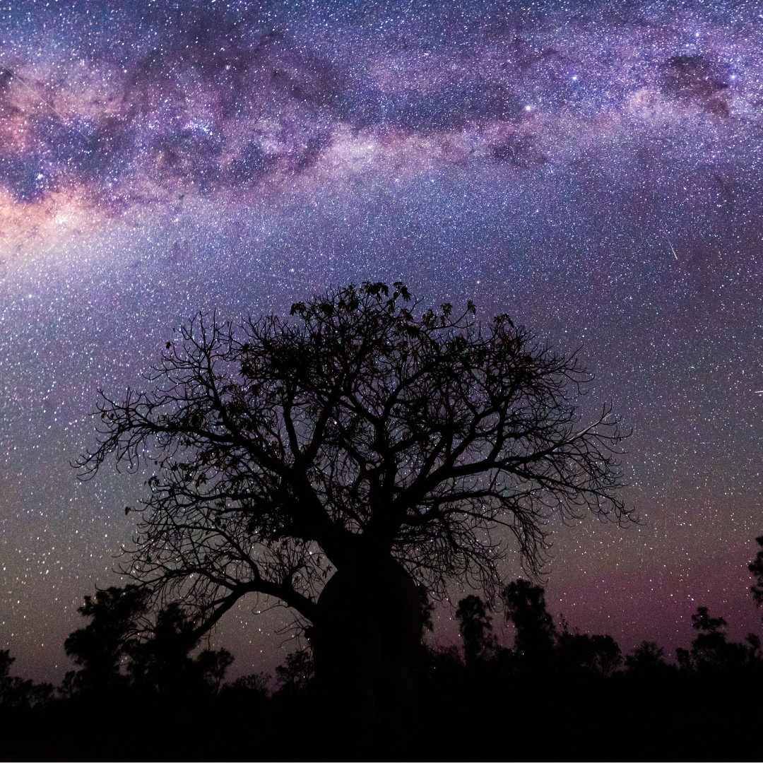 Kununurra Sky 0.10ct Authentic Australian Argyle Origin Diamonds - NCL