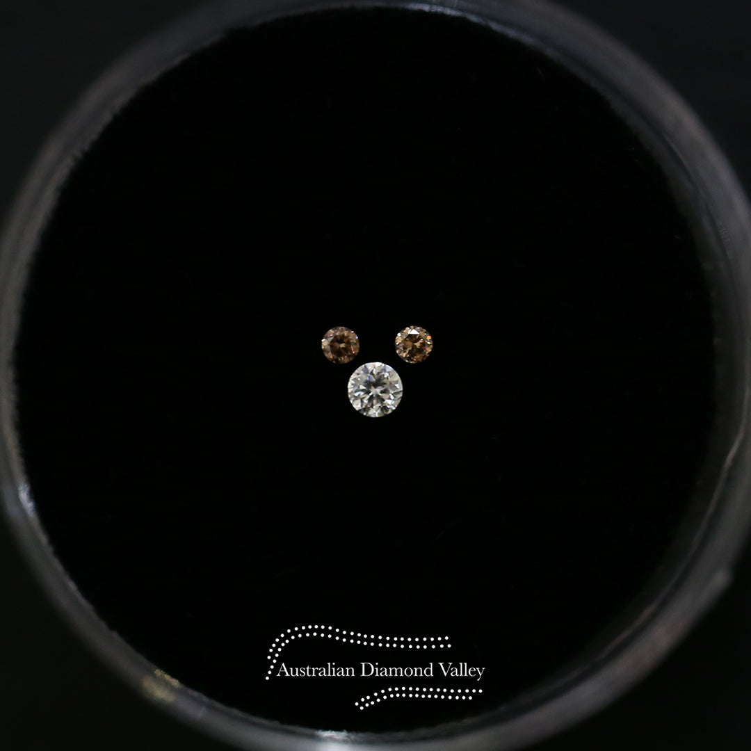 LNY 2020 Year of the Rat .05ct Authentic Australian Cognac Argyle Origin Diamond - C7