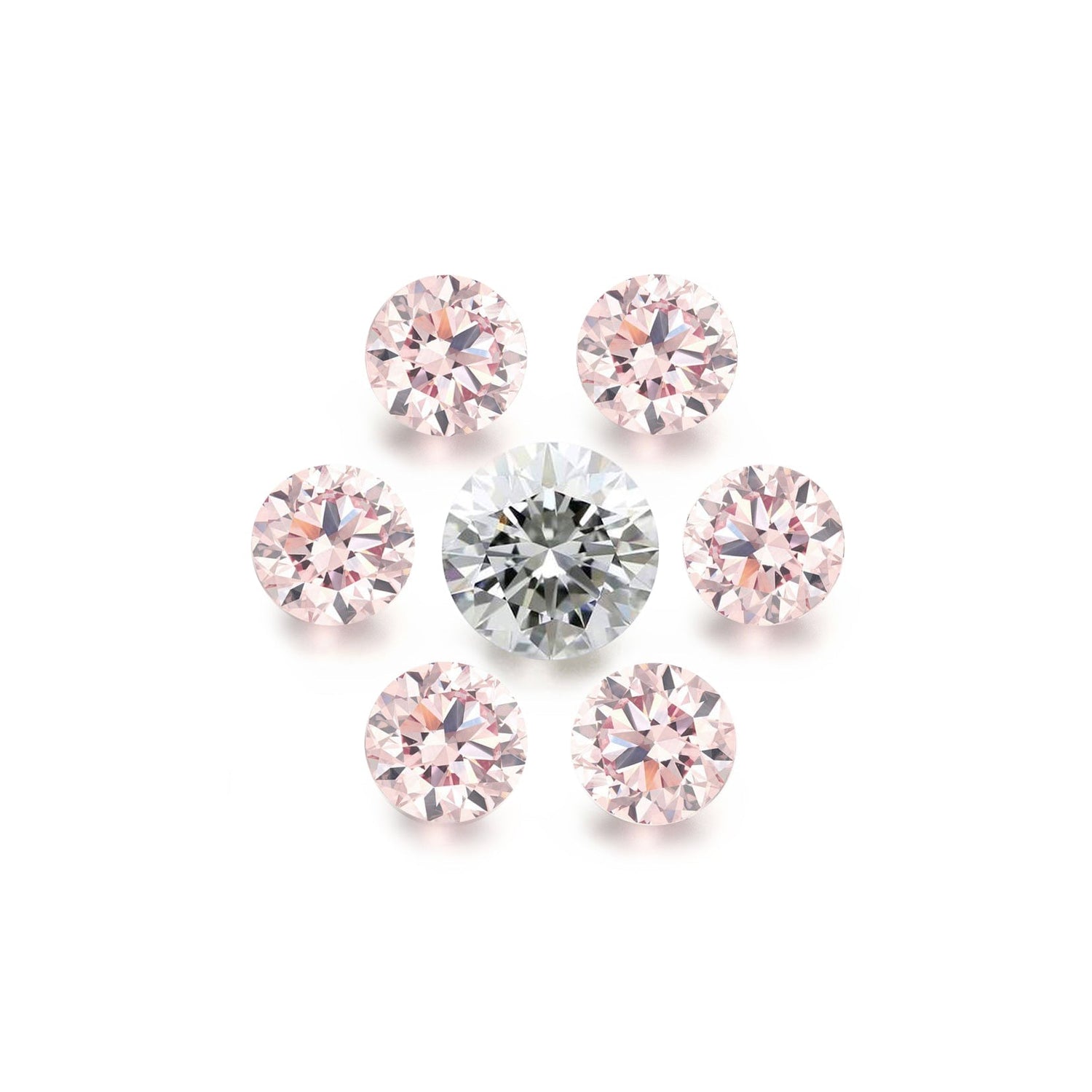 Diamond Valley Daisy