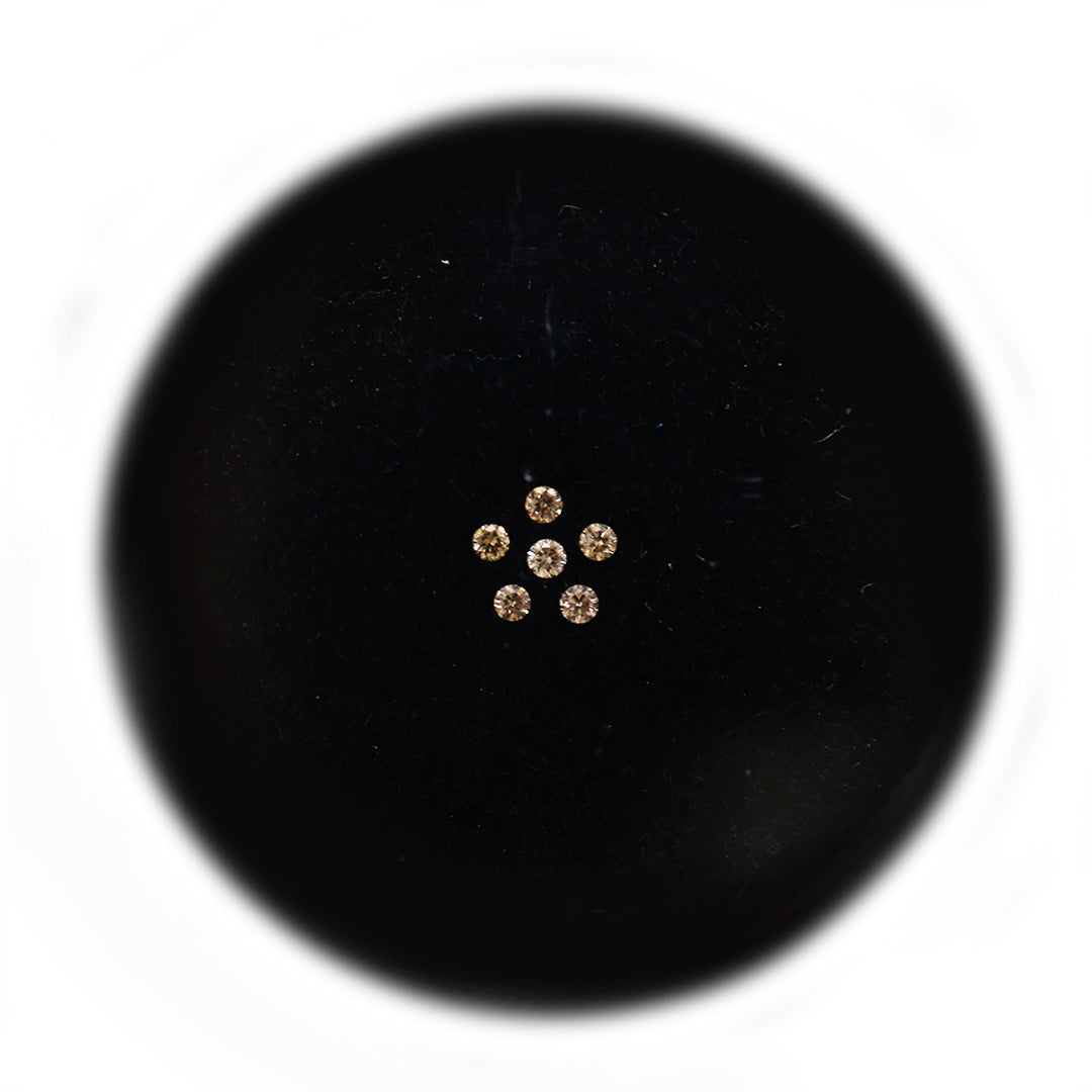 Diamond Valley Baby Daisy 0.03ct Authentic Australian Champagne Argyle Origin Diamond - C5