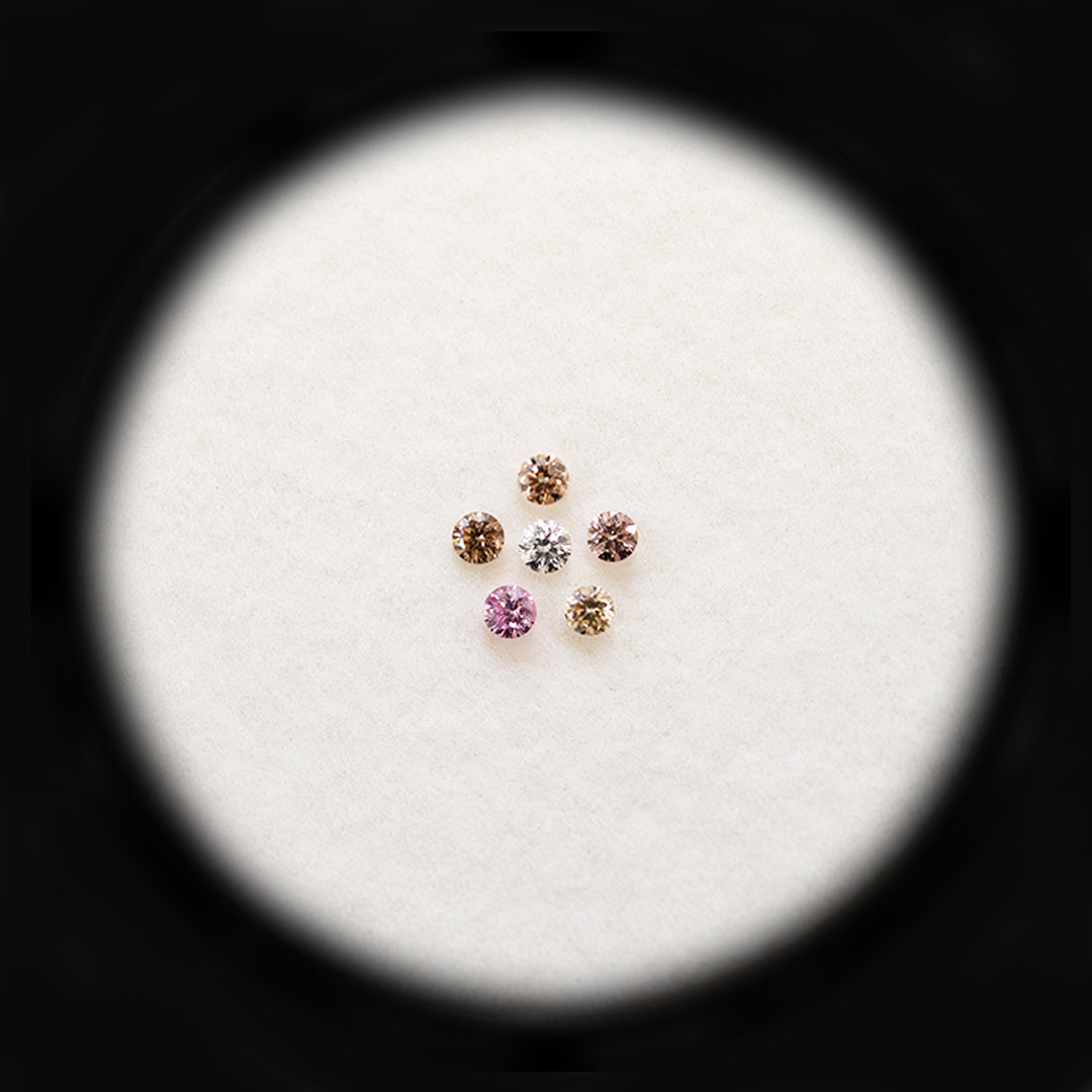 Diamond Valley Daisy 0.06ct Authentic Argyle Australian Rainbow Diamonds - Set #2