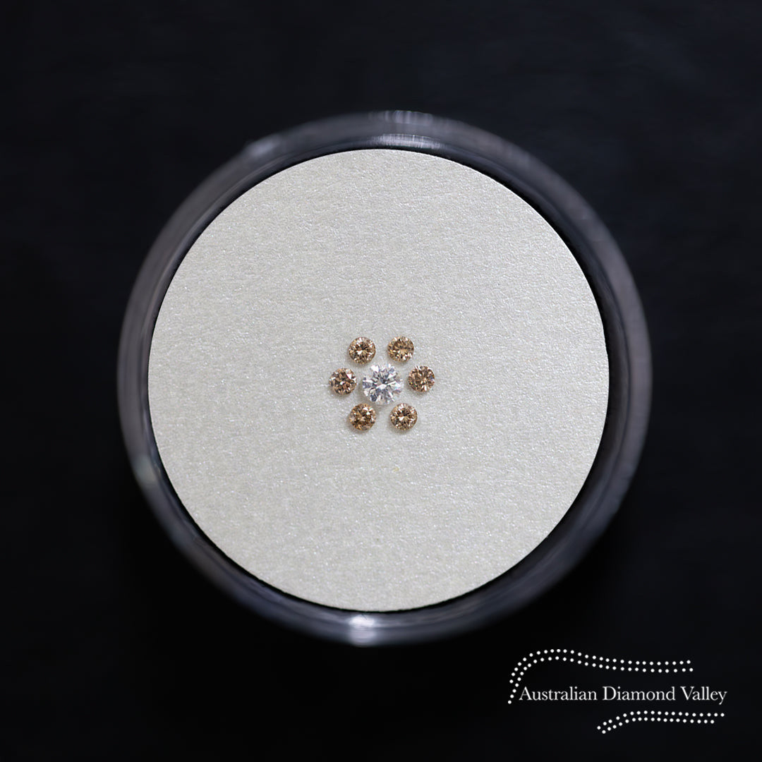 Diamond Valley Daisy 0.10ct Authentic Australian Champagne Argyle Origin Diamond - C5