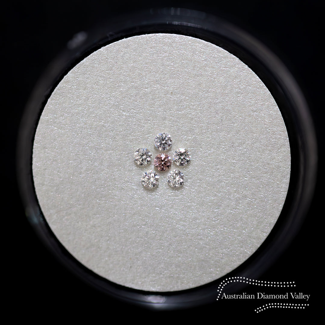 Diamond Valley Daisy 0.12ct Authentic Australian Argyle Diamonds - 5P & White