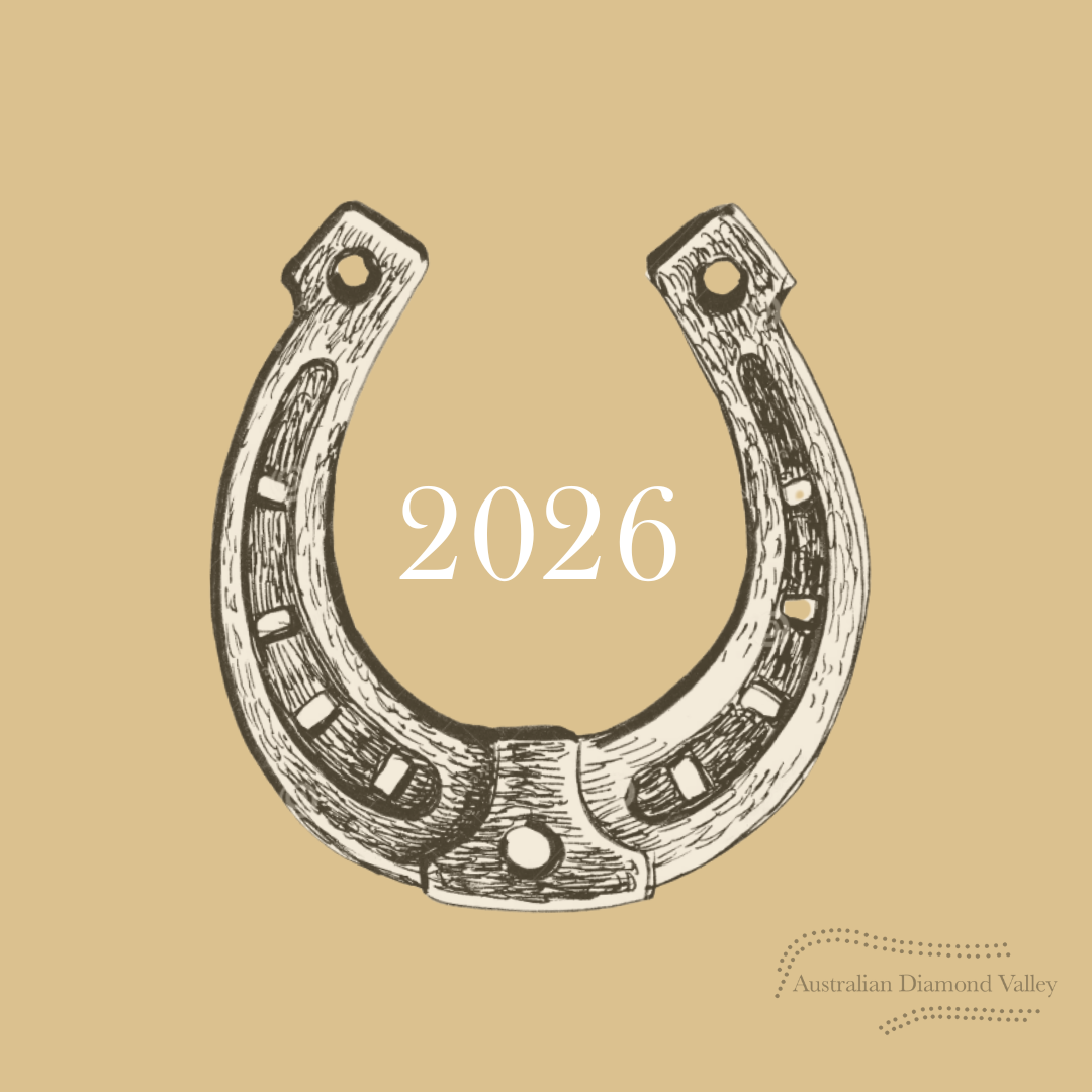 LNY 2026 Year of the Horse .11ct Authentic Australian Argyle Origin Diamonds - C5 & White