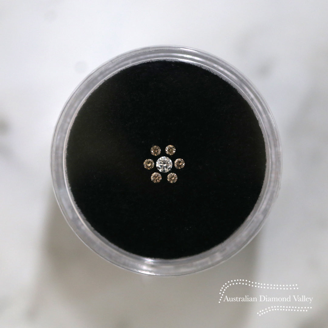 Diamond Valley Daisy 0.10ct Authentic Australian Champagne Argyle Origin Diamond - C5