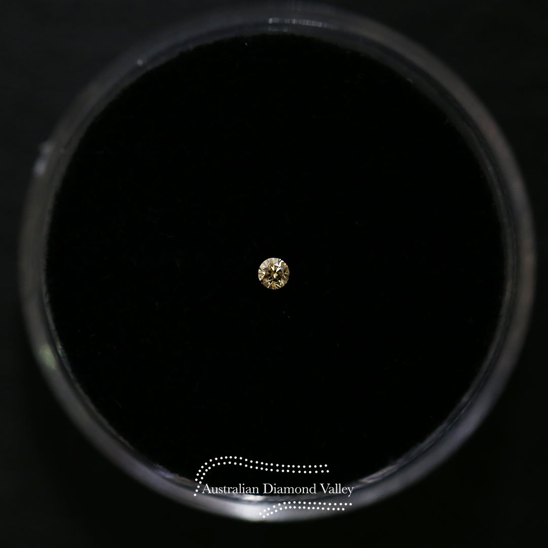 0.02ct Authentic Australian Champagne Argyle Origin Diamond - C5