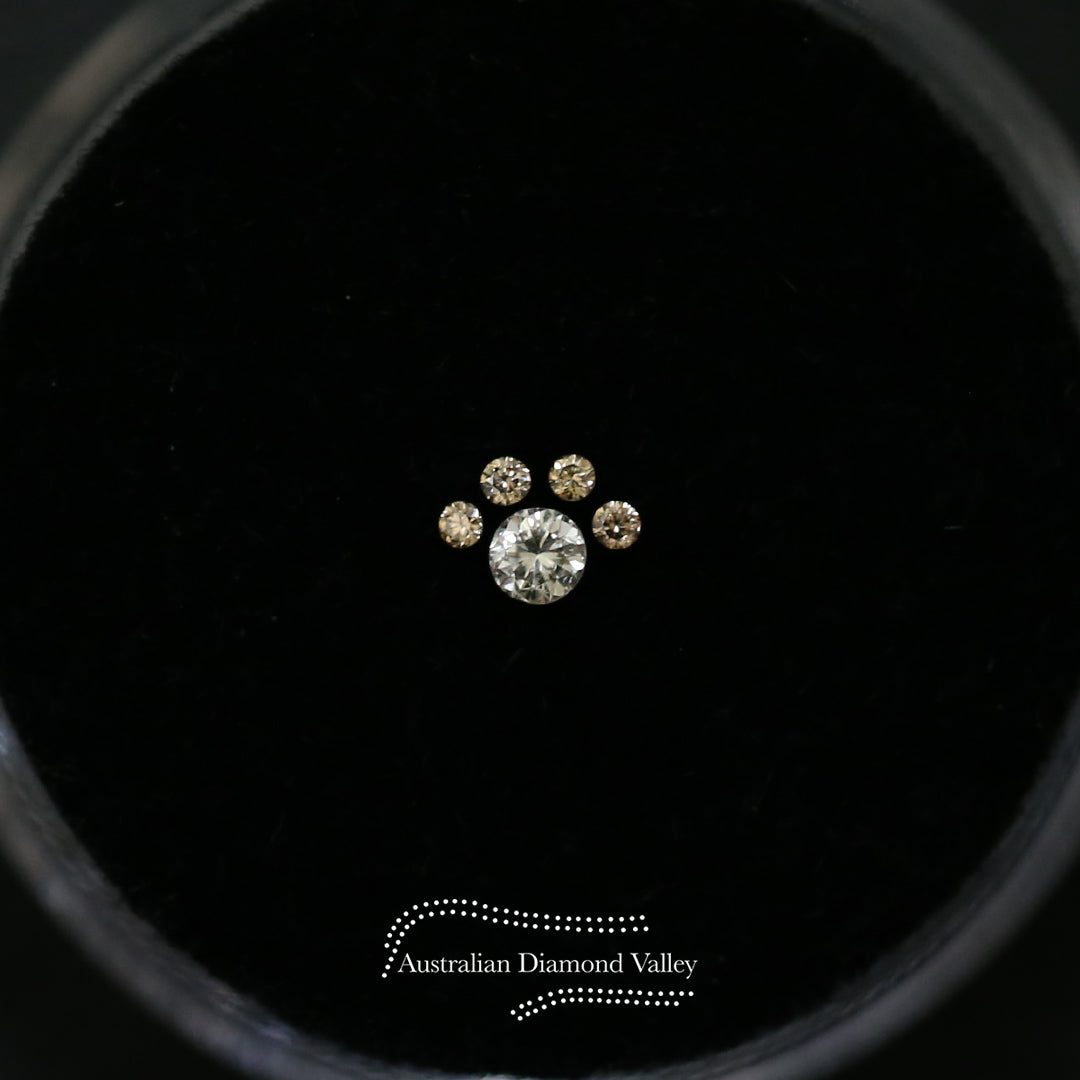 LNY 2022 Year of the Tiger Paw .06ct Authentic Australian Champagne Argyle Origin Diamond - C5
