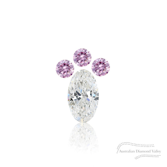 LNY 2023 Year of the Rabbit Foot .065ct Authentic Australian Pink Argyle Origin Diamond - 5P