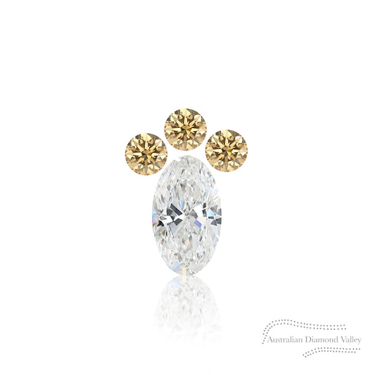 LNY 2023 Year of the Rabbit Foot .065ct Authentic Australian Champagne Argyle Origin Diamond - C5
