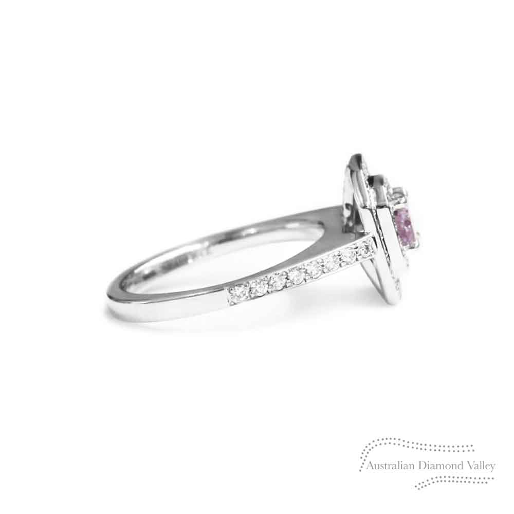 Lavender Bay Argyle Australian Diamond Ring - 8P